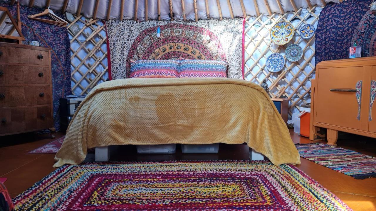 The Tall Pines Yurt Хелмсдейл Экстерьер фото